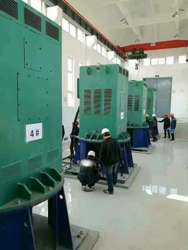 淮阳某污水处理厂使用我厂的立式高压电机安装现场